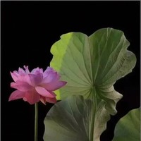 刘亚建