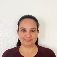 Noha Mustafa