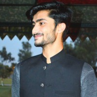 MUHAMMAD HAMZA ALEEM