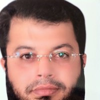 ASHRAF ELFEKY