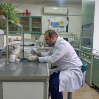 Mehrdad S