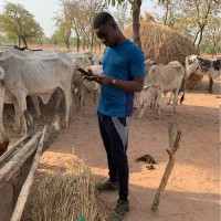 Ahmed Abdulai Soale