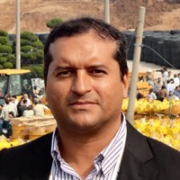 Roberto Rivelino S. Costa