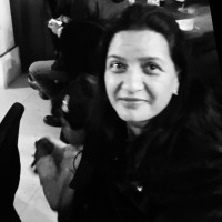 Shivani K.