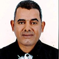 Adel Ali