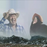 Francesco Sponchiado