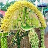 Prasanth Vijay