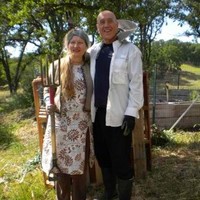 Jhulana-yatra Adina dd Wilson