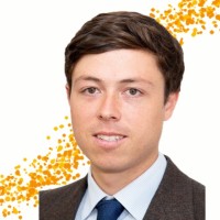 Fernando Lemmen Meyer Antillón