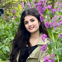 Najva Hafizi