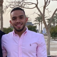 Omar Hani Elsangary