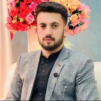 Syed Hamza Shah