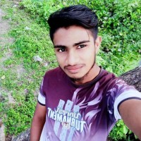 Md Hamim Islam