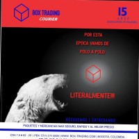 DIANA PRIETO BOX TRADING