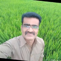 Shankar S