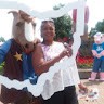 Dawn Tabb