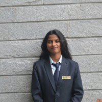 Bindhu N