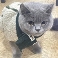 Krystal Wu