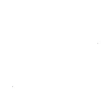 Timothy G . Colbridge