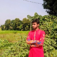 Masum Parvez Emon
