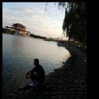 向少伟
