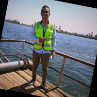 Ahmed Abdulmoneim