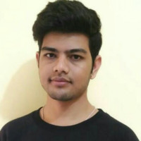 Narendra Singh Rajput