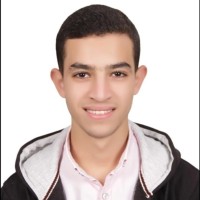 Saif Al-Eslam Waleed