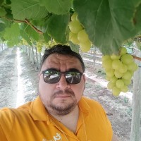 Manuel Marchant Vera
