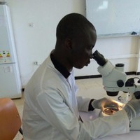 Daouda Coulibaly