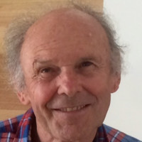 Ross Haig
