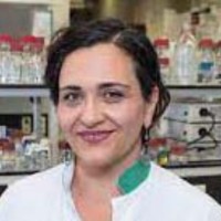 Tokameh Mahmoudi