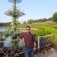 Roy Tusar
