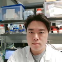 Patrick Pan
