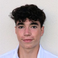 Roman Esseul