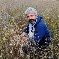 Franck-Emmanuel Lambert