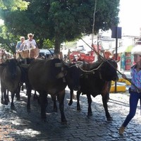 Lucimara Aparecida