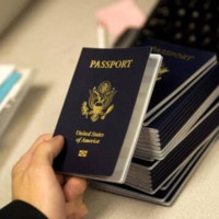 Immigration Consultant
