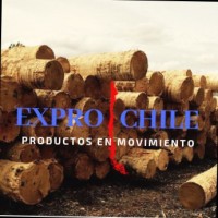 J Jsanchezexport