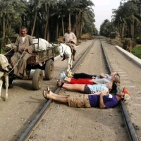 Spritual Egyptologist Veteran Recommended On Tripadvisor