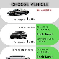 My Limo Ride
