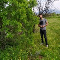 Murat Özdemir