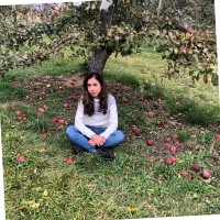 Fatemeh Mokhtari