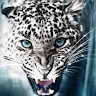 Lion Juda Lion