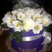Yulduz Umarova
