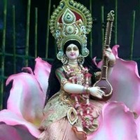 AMIT KUMAR