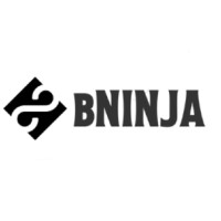 B Ninja