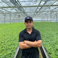 MAURICIO DE JESUS LOPEZ DEL CASTILLO