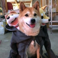 陳睿廷