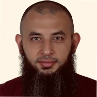 Hossam A. AbdElHay